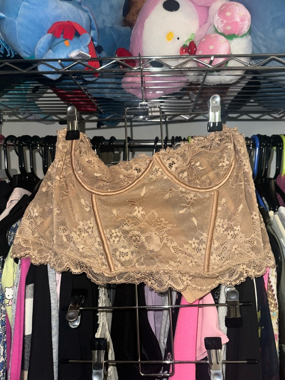 Zara Beige Lace Bustier Crop Top